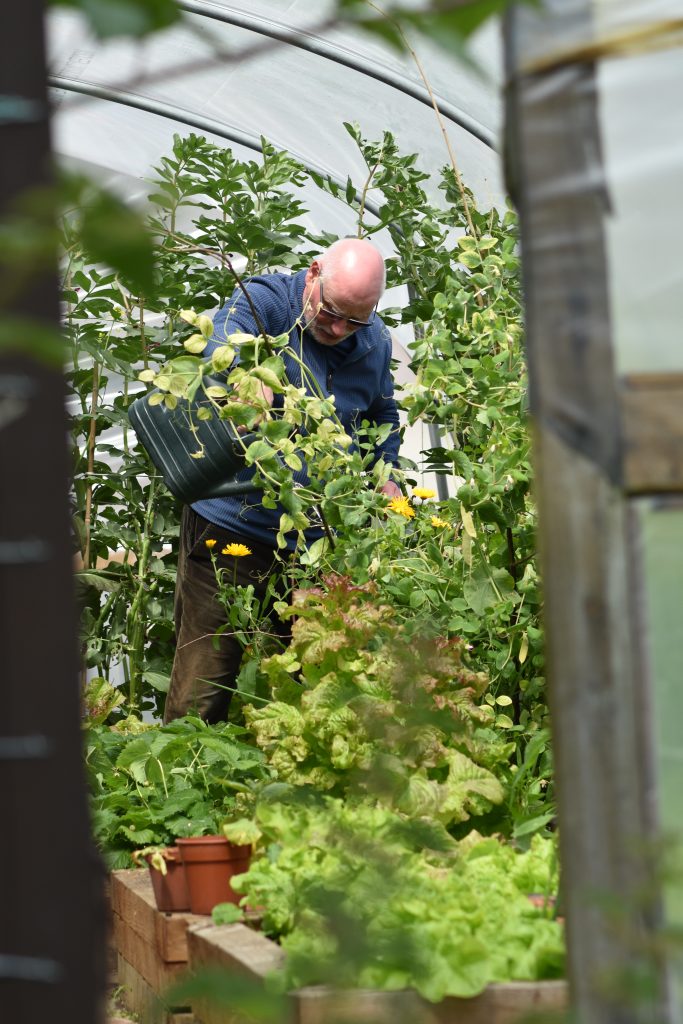 A parishioner cares for plants in a polytunnel