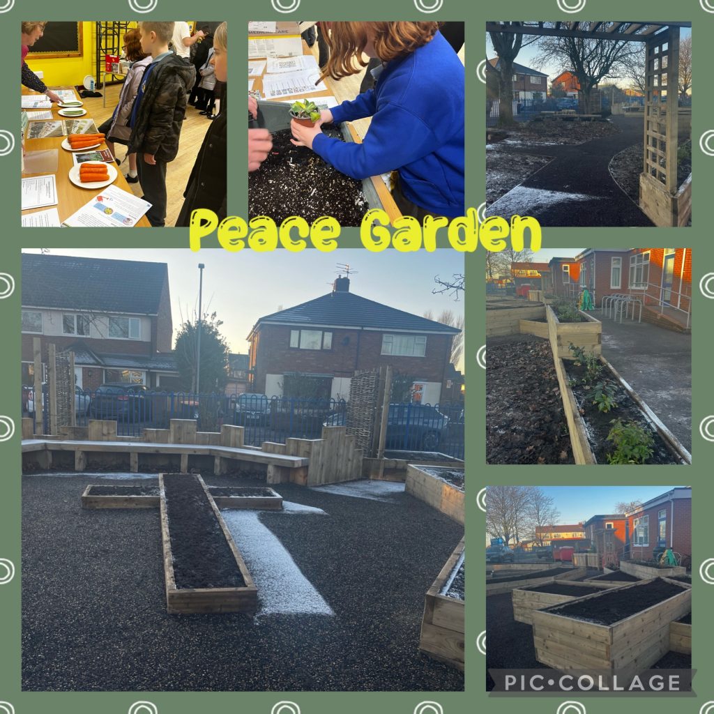 Collage of photos showing accessible planters, accessible pathways, and pupils learning about gardening and science. 
