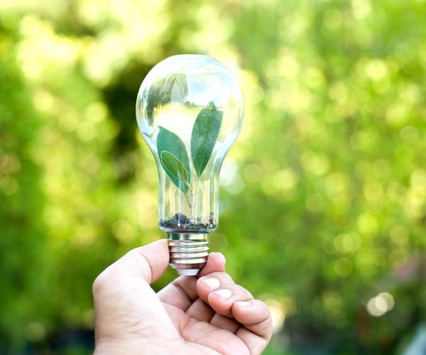 Image of a person holding a lightbulb with a plant inside
