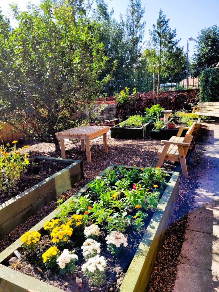 Photo showing the garden covered with bark, yellow and white flowers in raised planters at the front, a wooden bench opposite a table, which is beneath a beautiful tree. In the background, the are two more planters with green shoots, a bird bath, and another wooden bench in the corner in the sunshine.