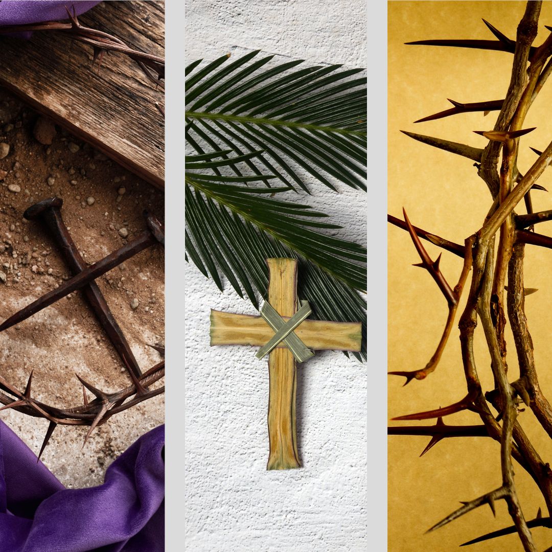 Three images depicting nails on wood, a palm branch and cross, and a crown of thorns