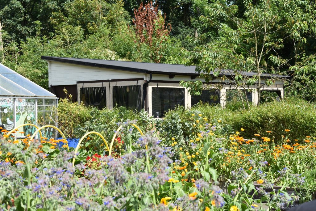 A bright array of different flowers and plants cover the bottom half of the photo, with trees from the woodland at the top, and our outdoor classroom in the middle